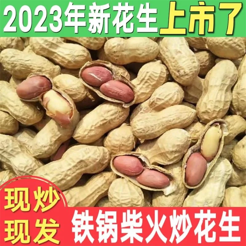 2023年新货炒花生原味带壳现炒现发铁锅柴火炒熟花生带壳花生美味
