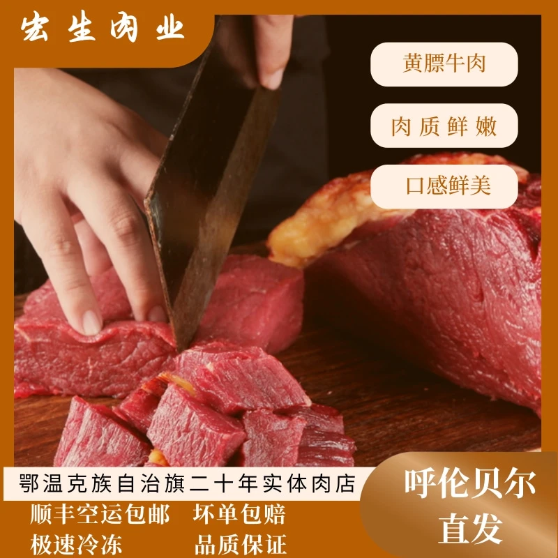 【牛肉】呼伦贝尔黄膘散养牛腿肉 炒菜、炖菜、包饺子 牛肉丸