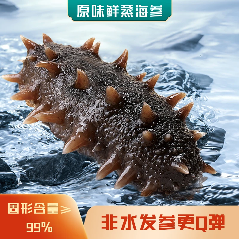 【大连底播辽刺参】鲜蒸海参非水发31-40/每斤高7CM左右儿童版