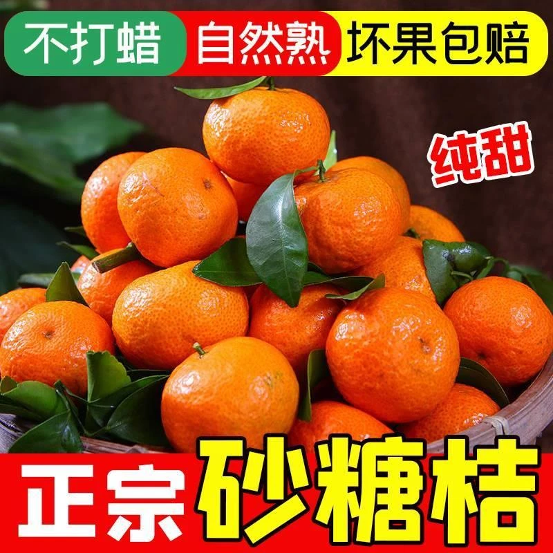 【每人抽送十斤】正宗金秋砂糖桔子橘子砂糖橘当季新鲜水果3斤1斤