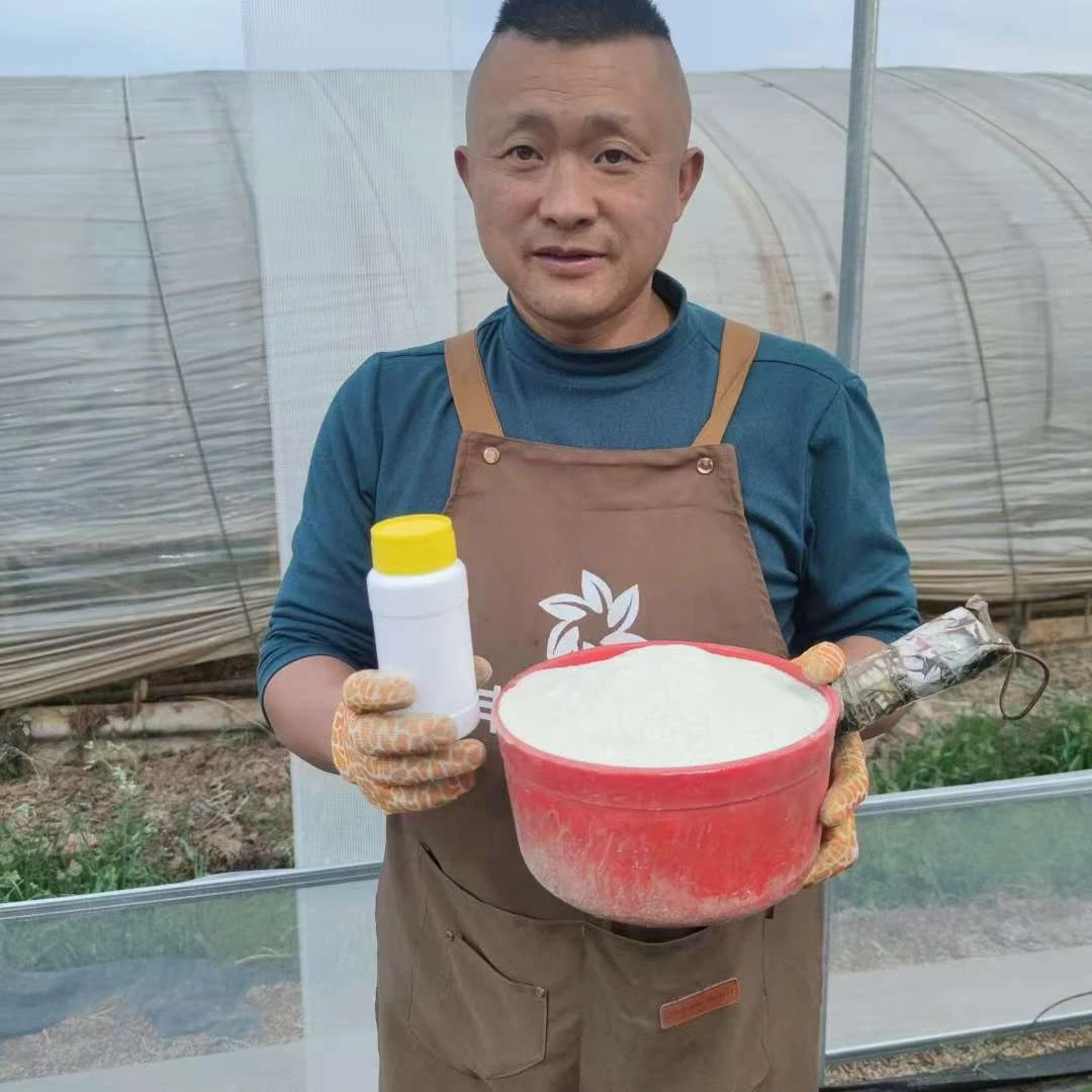 2号店丰哥自用《催花苞专用肥》1瓶含瓶300克水溶肥