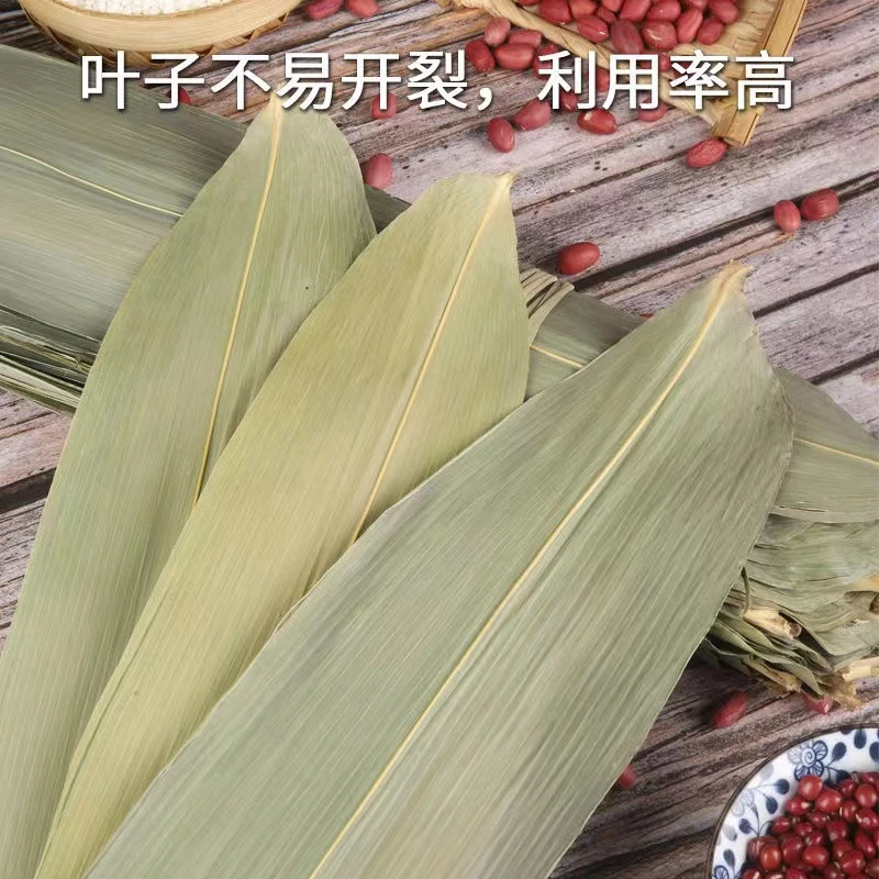 粽叶新鲜粽子叶干大号现摘100片叶特大包粽子的叶子商用棕叶