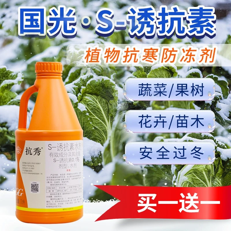 诱抗素植物花卉月季抗旱抗盐碱防冻抗寒抗逆促长S诱抗素植物激素
