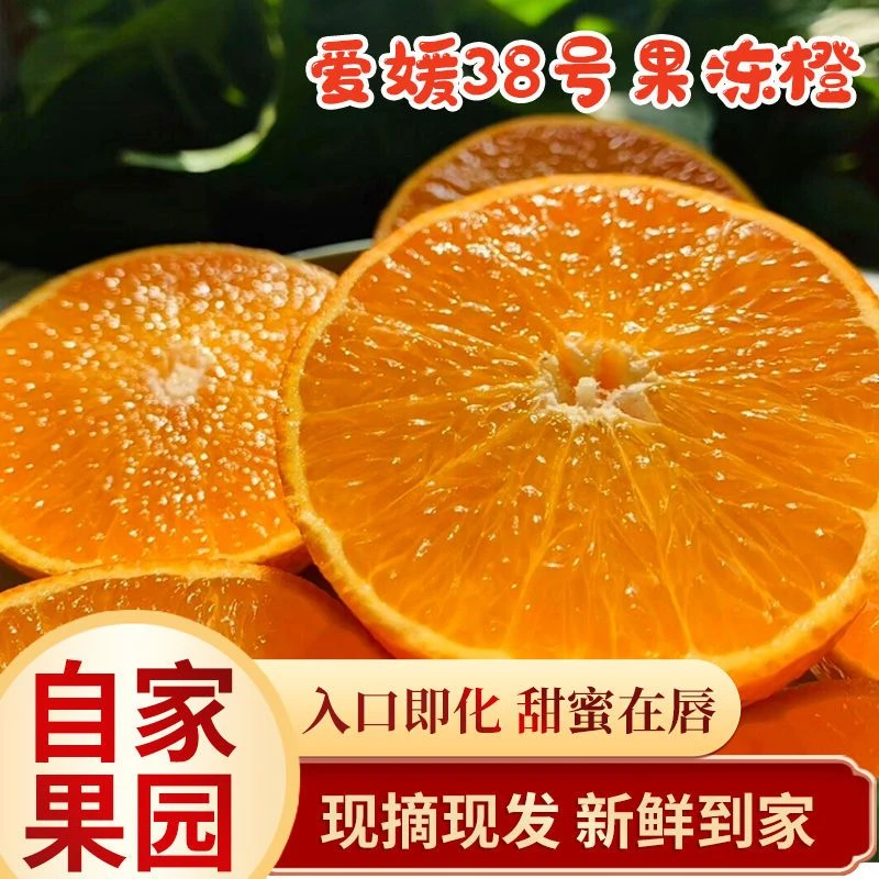 爱媛38号果冻橙当季新鲜水果薄皮手剥橙子现摘现发整箱爱媛果冻橙