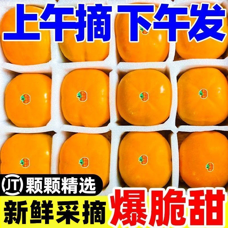 脆柿子新鲜糖心孕妇水果现摘硬黄皮甜柿子整箱批发采摘包赔精树上