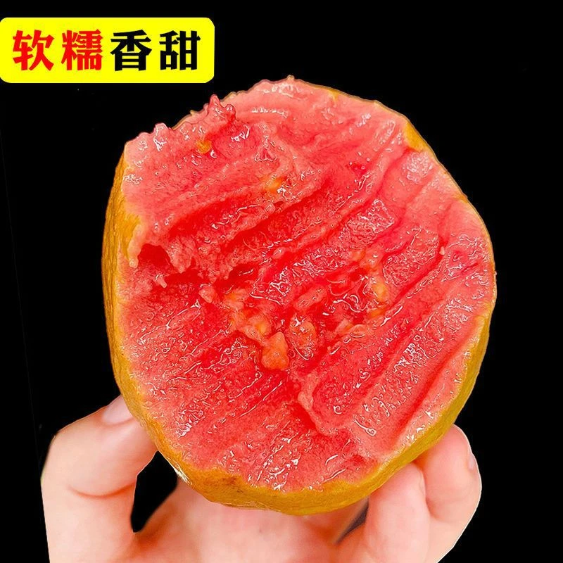 广东广西红心芭乐福建新鲜孕妇水果清甜现摘红肉番石榴香甜新食用