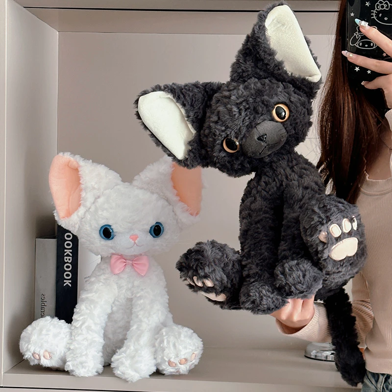 超萌黑色猫咪德文卷毛猫同款黑猫玩偶公仔玩具送生日礼物女生