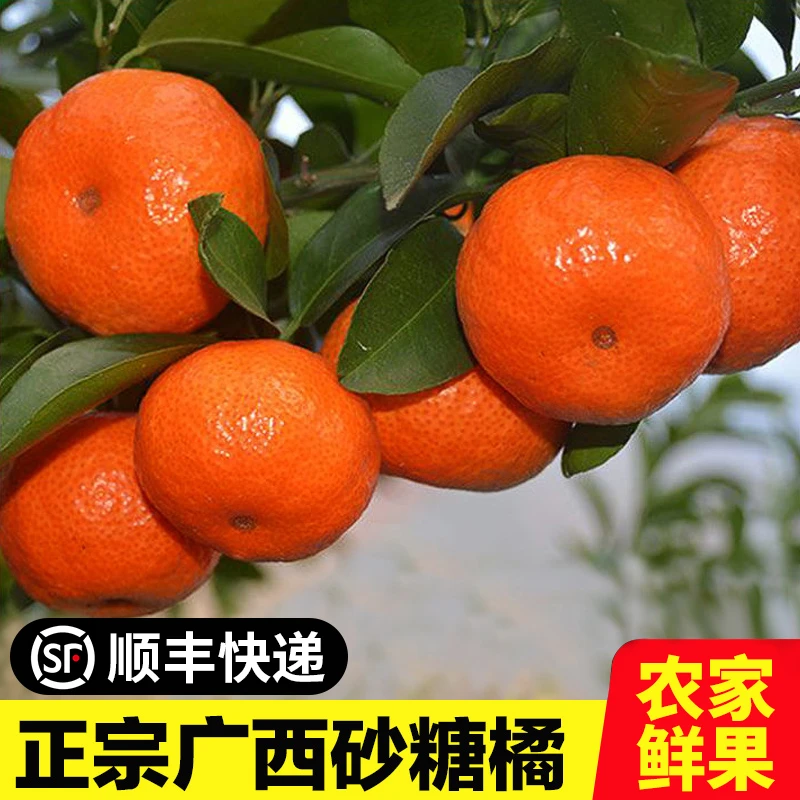 【双十二特惠】广西砂糖橘小桔子皮薄沙糖桔柑橘3/9斤新鲜应季水果