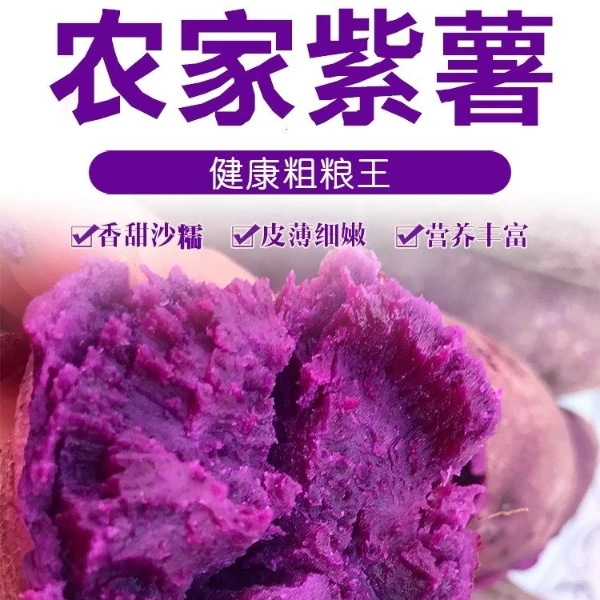 【双特惠】<大果>正宗紫罗兰紫薯新鲜现挖板栗薯紫心番薯地瓜1-9
