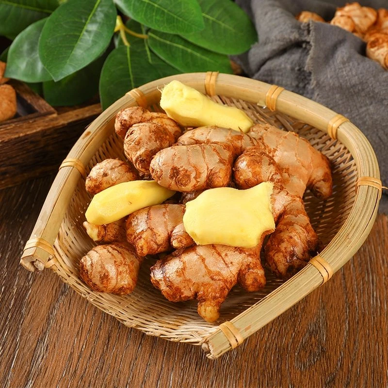 【新店开业】云南老姜小黄姜新鲜沙土地黄姜农家现挖生姜老姜3-9