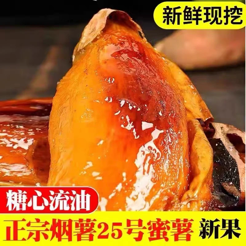 种植烟薯25号蜜薯糖心红薯新鲜地瓜现挖沙地番薯山芋农科院烤红薯