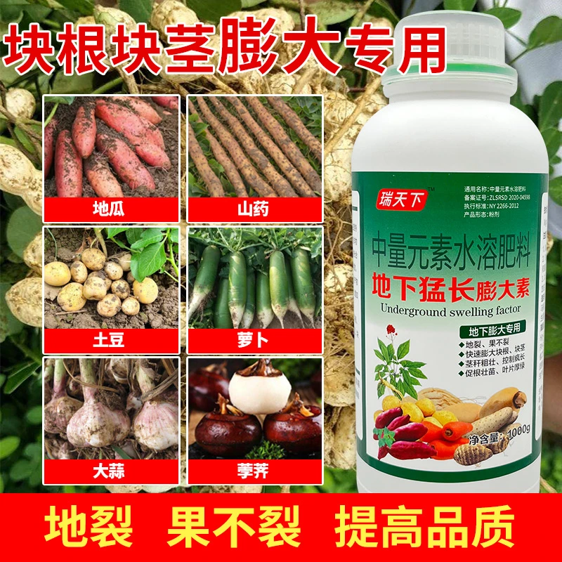 地下猛长地下根茎膨大素土豆莲藕生姜蒜芋头红薯荸荠萝卜等地下茎
