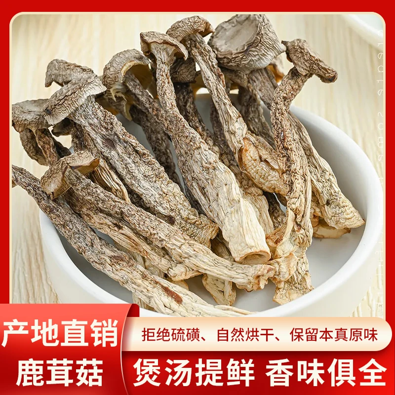 鹿茸菇干货无硫鹿茸菌土特产净重嫩仔菌菇煲汤炒菜批发农家新货