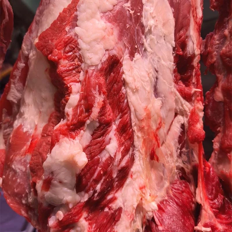 内蒙牛燕翅 筋肉相连 肥瘦适中
