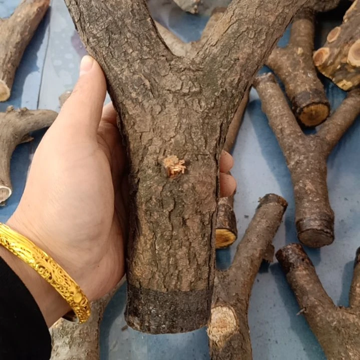 【闪购商品】彬****生崖柏木