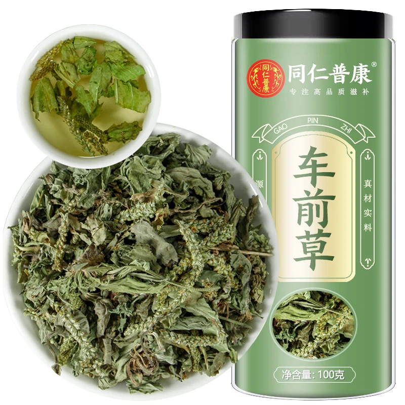 野生车前草100克叶菜新货中药材车前草干货泡茶新鲜泡水喝 车前草