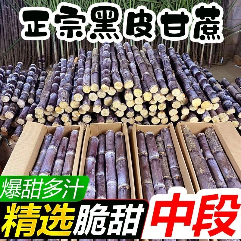 【5斤超值】广西黑皮薄甘蔗新鲜精选中段批发脆甜水果当季甜杆整箱