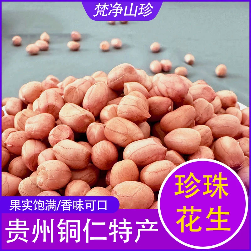 贵州特产珍珠花生260g 精选生花生米 梵净山老品种小花生干花生仁