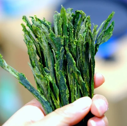 2023 新茶上市猴坑村头采正宗手工太平猴魁 鲜爽度高送人佳品