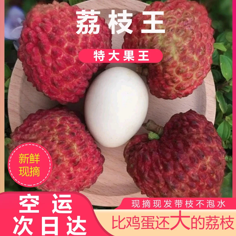 【果园发货】现货荔枝王超大当季水果现摘现发送礼佳品比鸡蛋大整箱