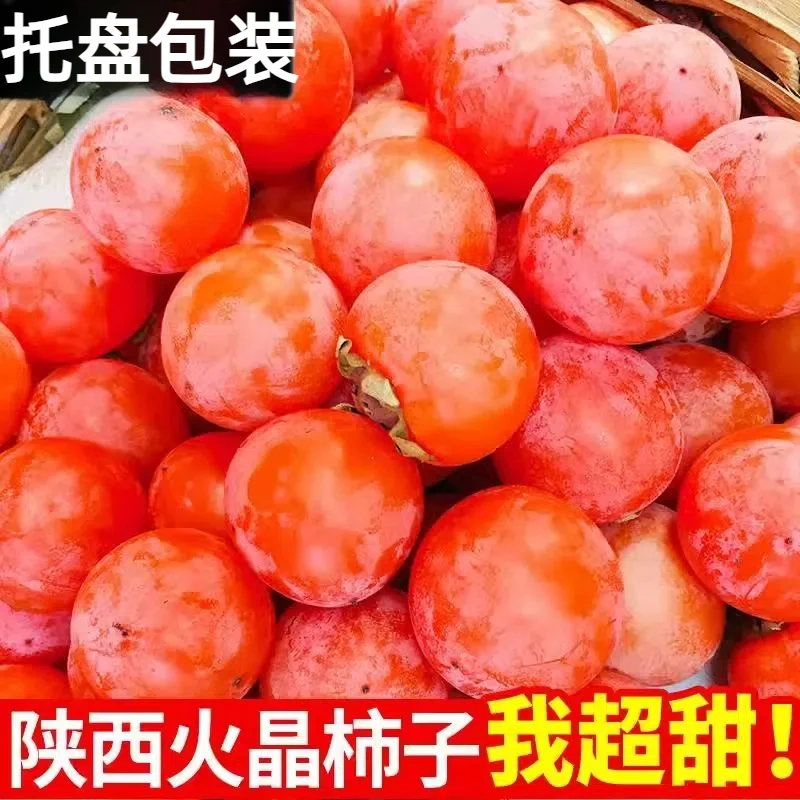 陕西火晶迷柿甜柿子小柿子新鲜当季水果软水晶非脆柿30粒包邮