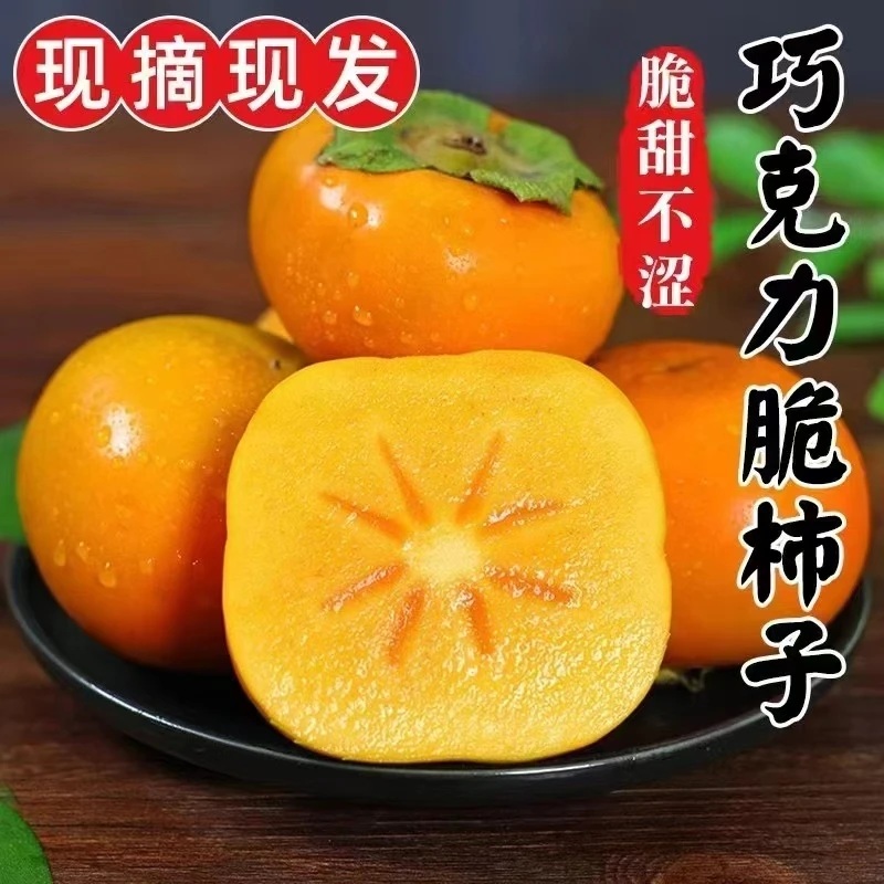 【爆款热卖】山西脆甜巧克力脆柿子新鲜当季水果冰糖黄心特产5斤