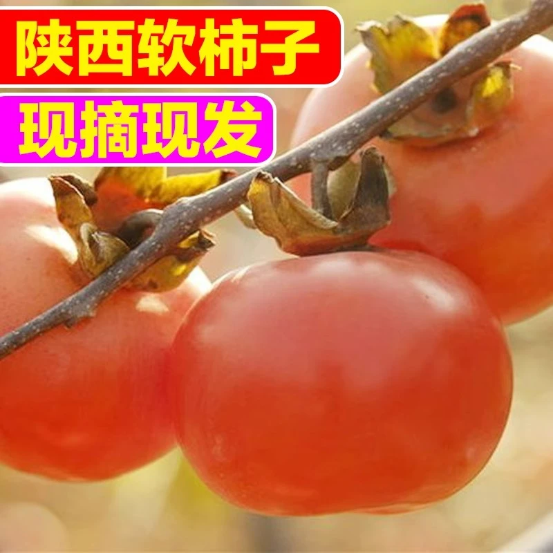 陕西火晶软柿子30颗爆甜新鲜正宗水晶小柿子当季水果整箱美味