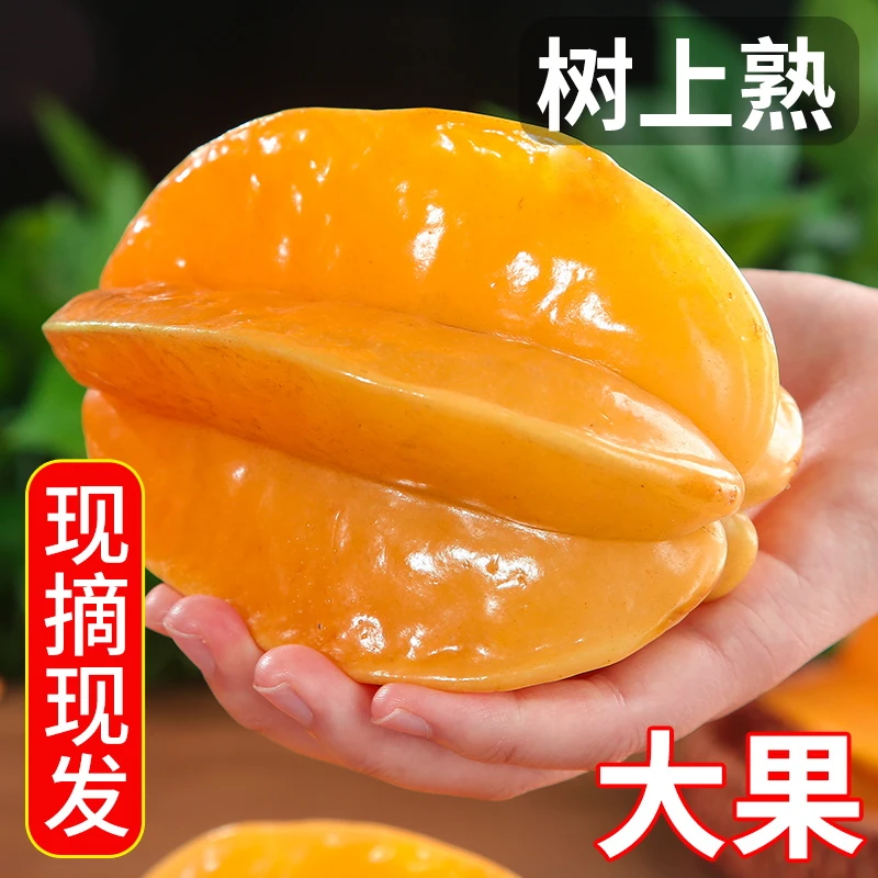 (上新优惠)漳州甜杨桃新鲜多汁皮薄爽口香甜果园采摘发货坏果包赔
