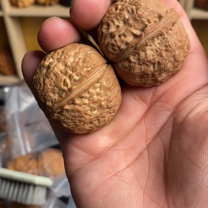 文玩核桃吊坠云南铁核桃16