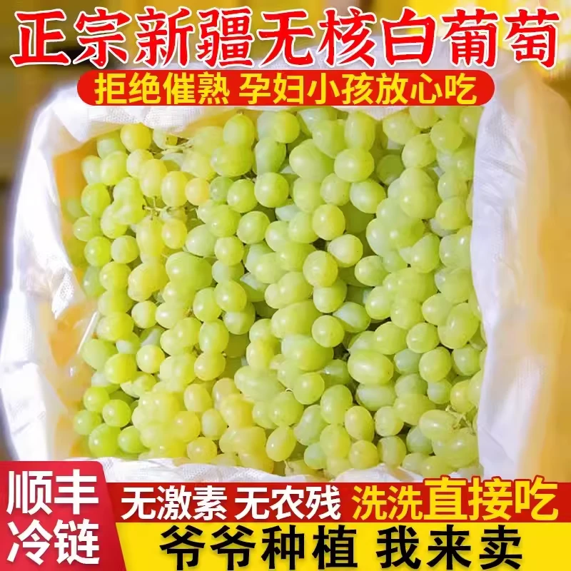 正常发货正宗特级新疆吐鲁番无核白葡萄当季新鲜现摘马奶青4.5斤