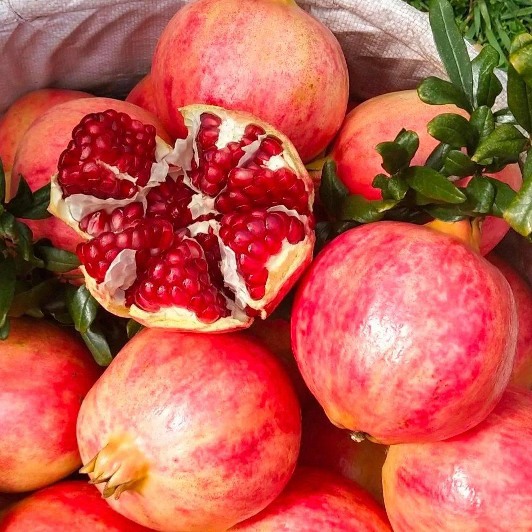 【坏果包赔】四川会理突尼斯软籽石榴3-8斤装果园现摘新鲜应季水果