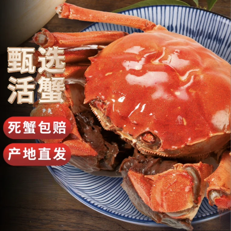 【江苏活蟹】现货河蟹2两-1.8两 6只+2只河蟹活母蟹鲜活螃蟹8只 Z