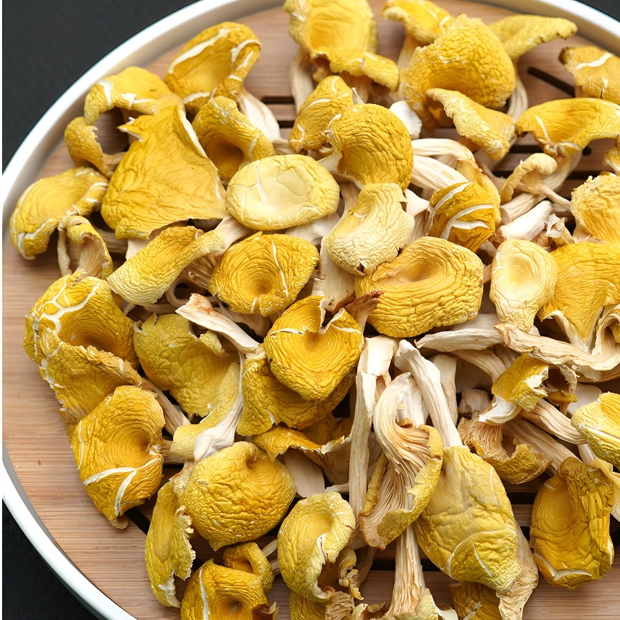 新货榆黄蘑菇干货新鲜黄金菇野生鸡油菌香菇榆黄蘑煲汤鲜美