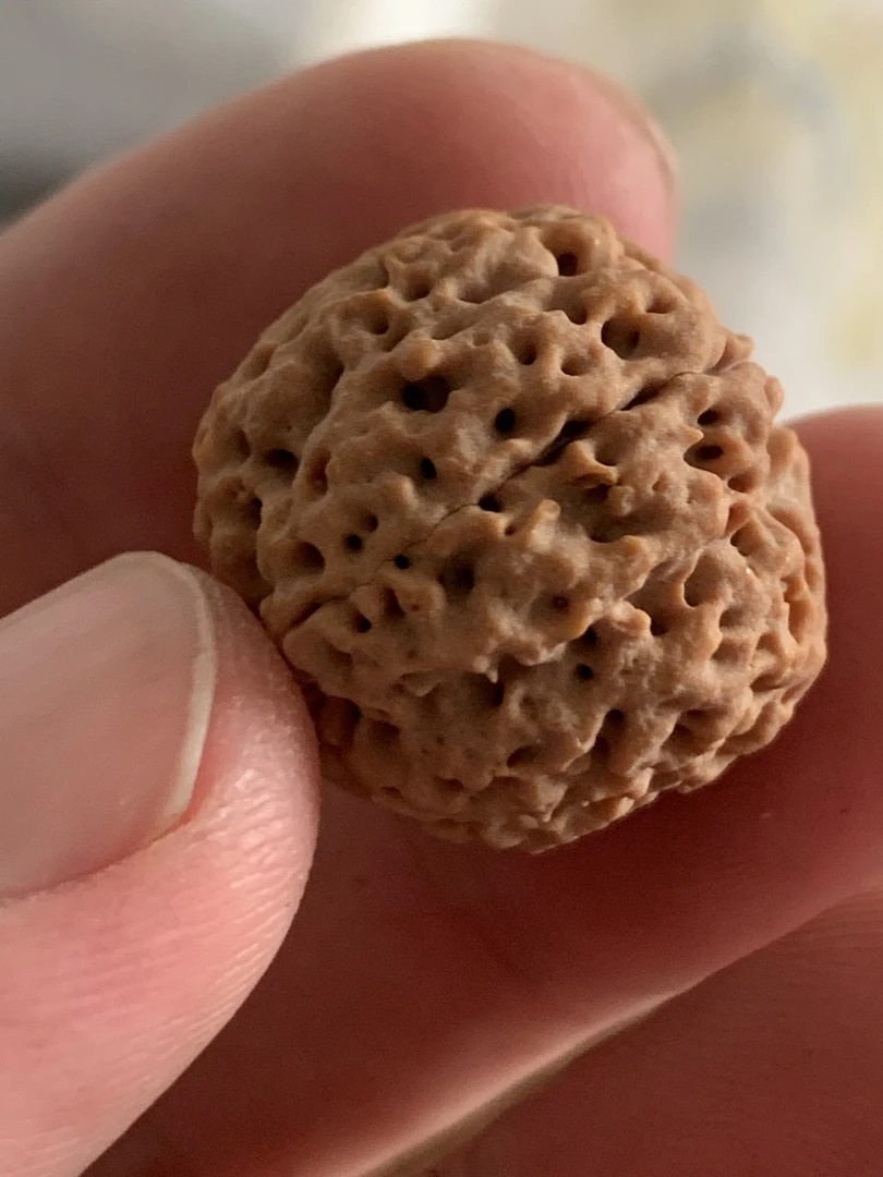 大金刚手串专拍链接