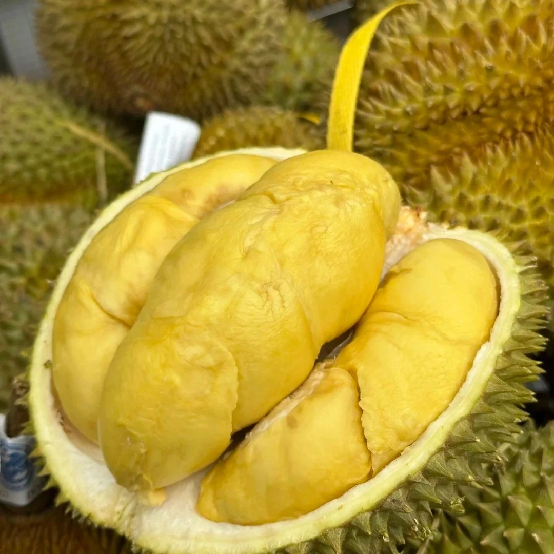 榴莲福利果500g【不售后】