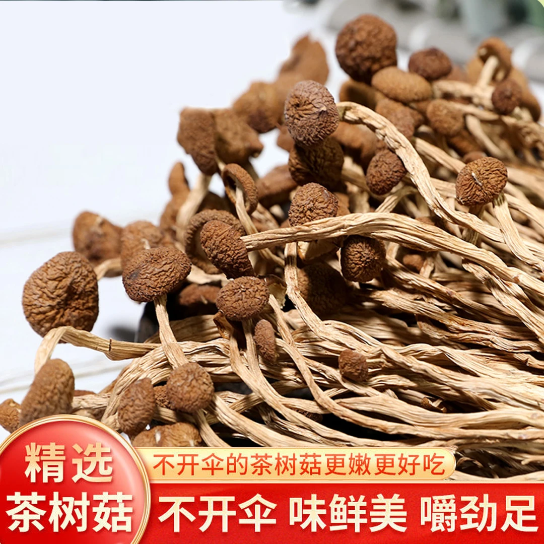 【茶树菇】干货炖汤土特产菌菇干货100g250g茶树菇干货批发