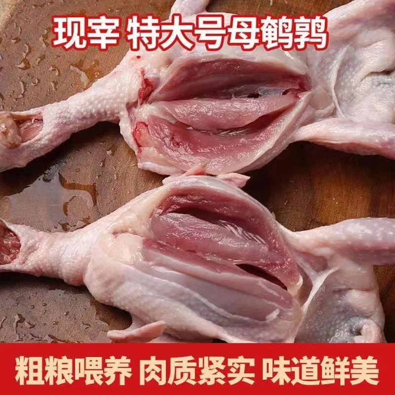 3两大母鹌鹑 佛山发货新鲜清理 生鹌鹑 10只20只 速冻锁鲜现杀
