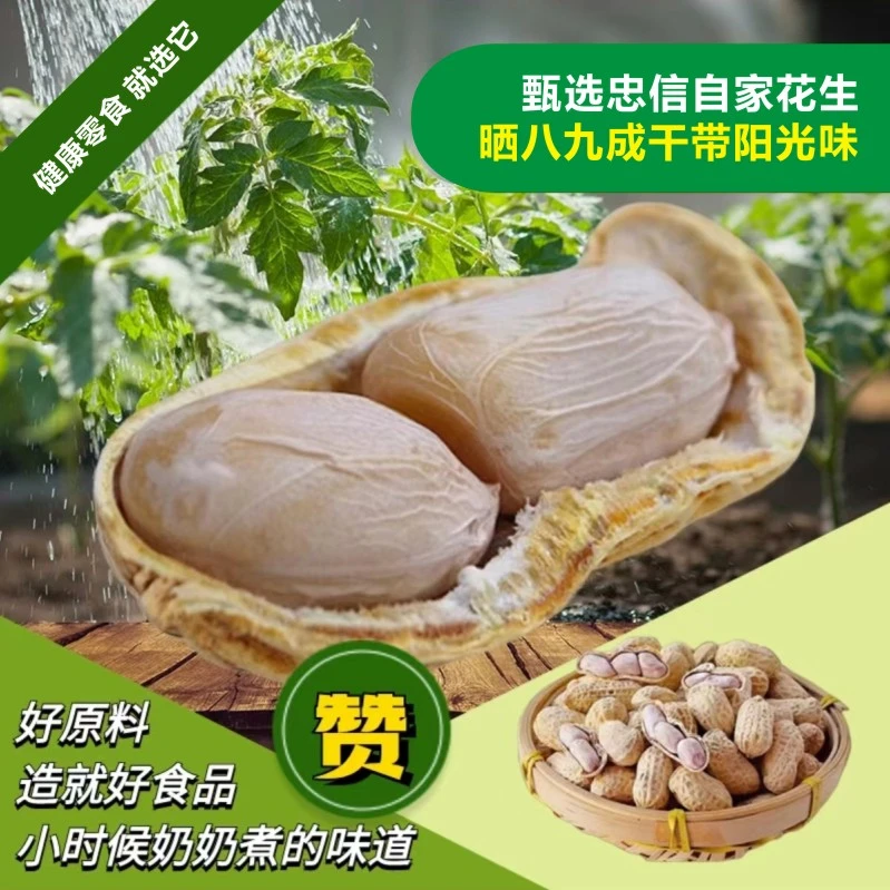 河源忠信咸干花生好吃酥脆新鲜河源忠信水煮咸干花生水煮咸干花生