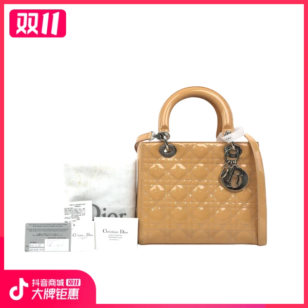 95新/迪奥/妃鱼/单肩包/市场价24500/241031SJ0025