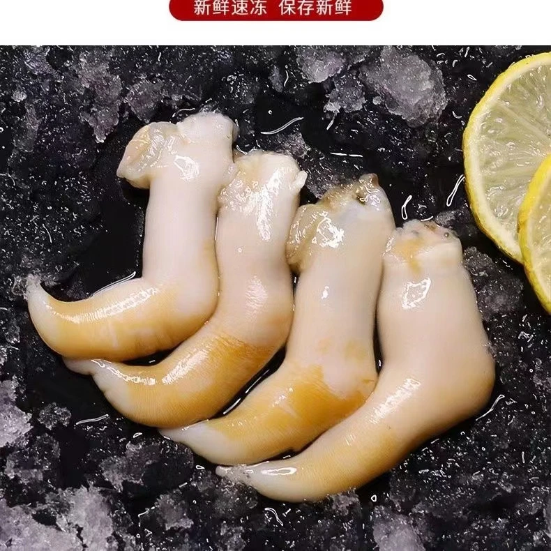 连云港发货  新鲜速冻鸟贝肉  500g/包