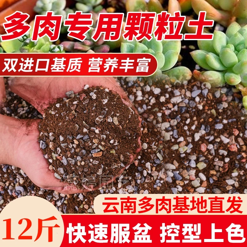 【买⑤斤送⑦斤颗粒土】70%多肉专用颗粒土营养土控型上色铺面通用土
