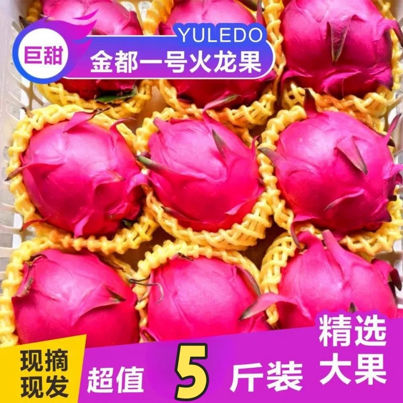 【首单立减】正宗广西金都一号红心火龙果每日新鲜采摘超好吃水果