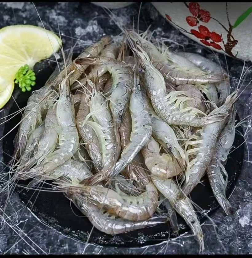 【无冰净重 4斤】特色红毛虾 新鲜海捕 100左右/1斤