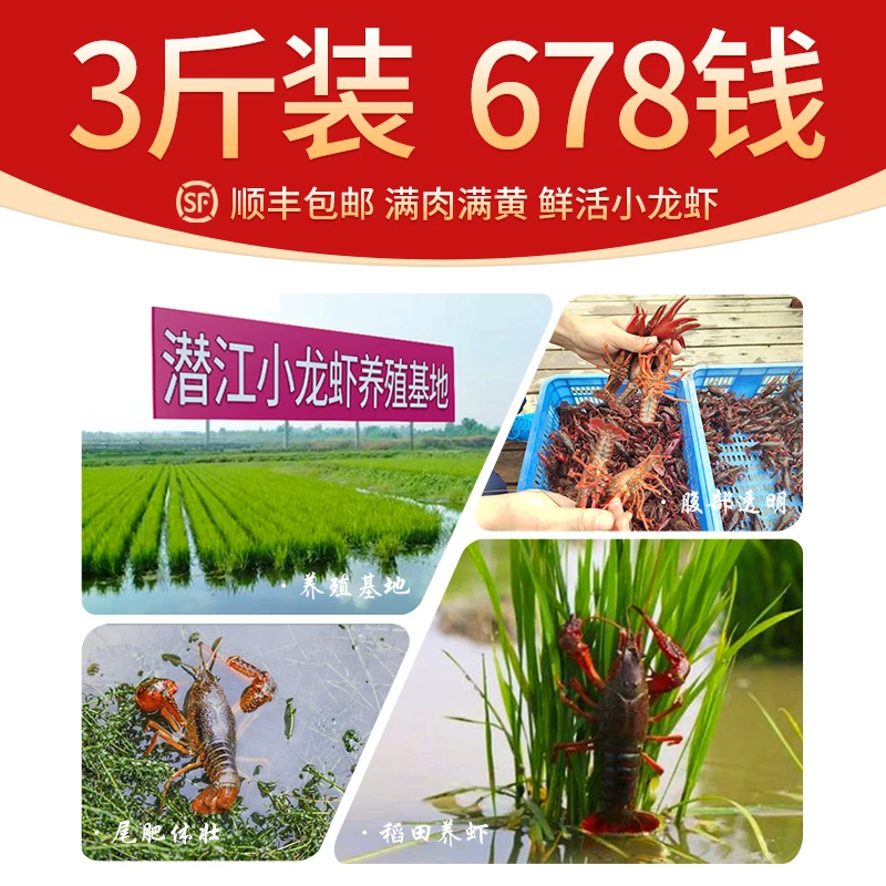 倍鲜岛湖北潜江小龙虾678钱3斤稻田鲜活小龙虾红虾顺丰包邮