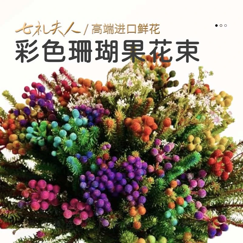 【七礼夫人】彩色小珊瑚果花束/南非小珊瑚果花材/小众