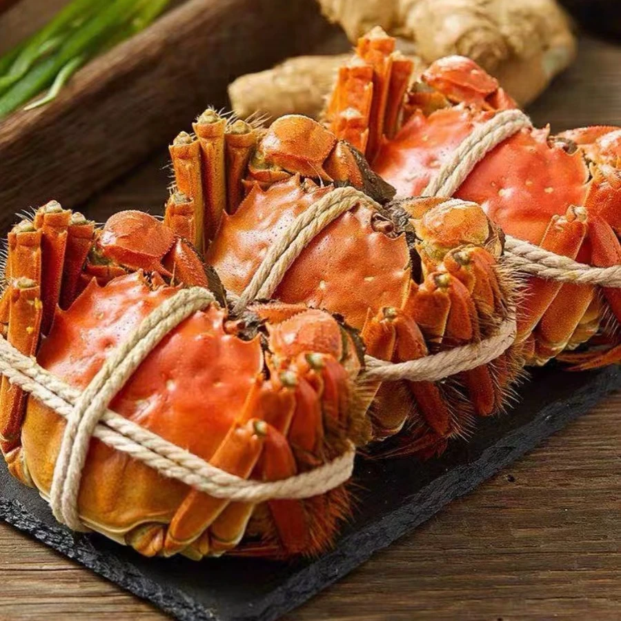 【全母盛宴】苏州精品大闸蟹母蟹2.6-2.4两 10只礼盒