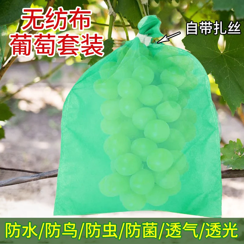 【新疆包邮】绿色专用透气防鸟无纺布葡萄袋水果套袋