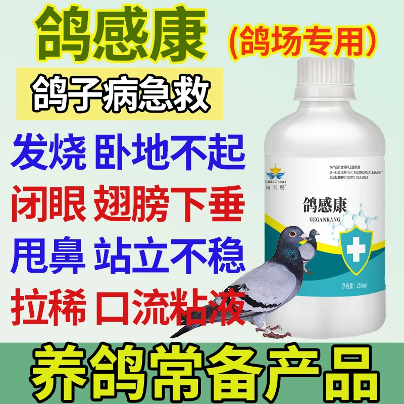 尚天赐鸽感康鸽子养殖专用植物提取添加剂