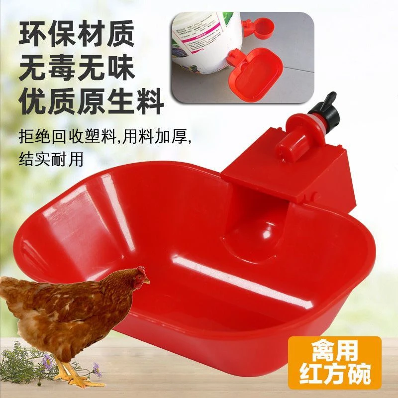 大号鸡鸭鹅自动饮水碗饮水器鸽子鹌鹑喂喝水碗家禽鸡用自动饮水器