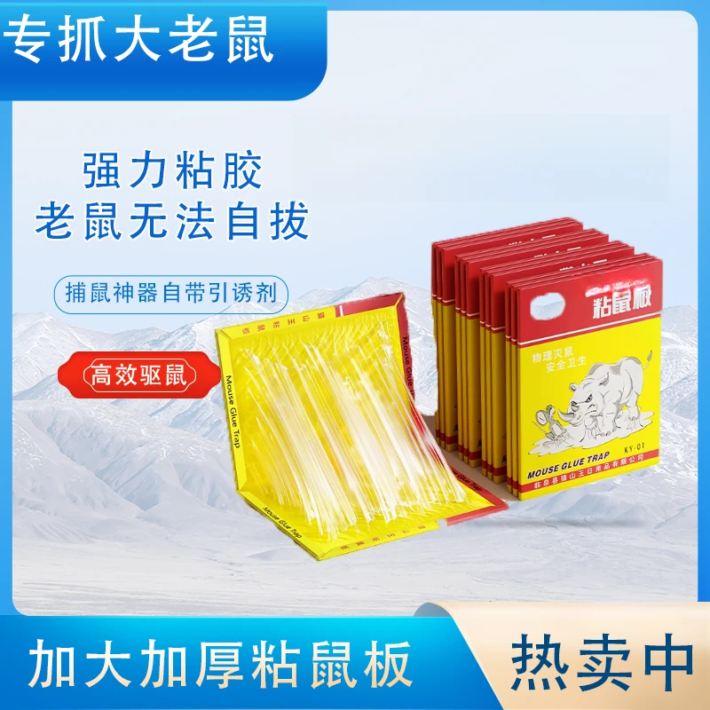 强力老鼠板折叠粘贴家用超强粘力粘鼠板抓大老鼠灭鼠捕鼠神器家用